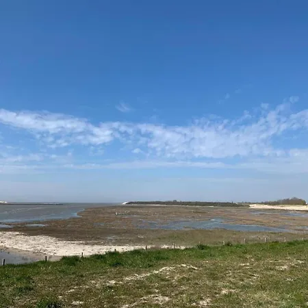 Апартаменты In With Marina Views Бланкенберге