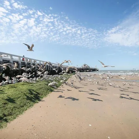 In With Marina Views Apartment *