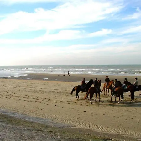 In With Marina Views Apartment Blankenberge
